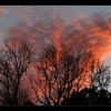 20150107_0033